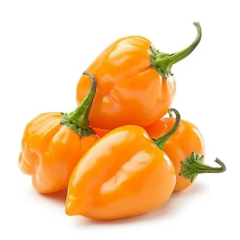 Salsa habanero fresco