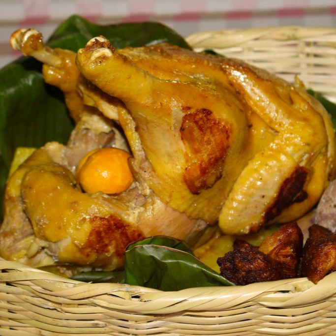 1 Gallina