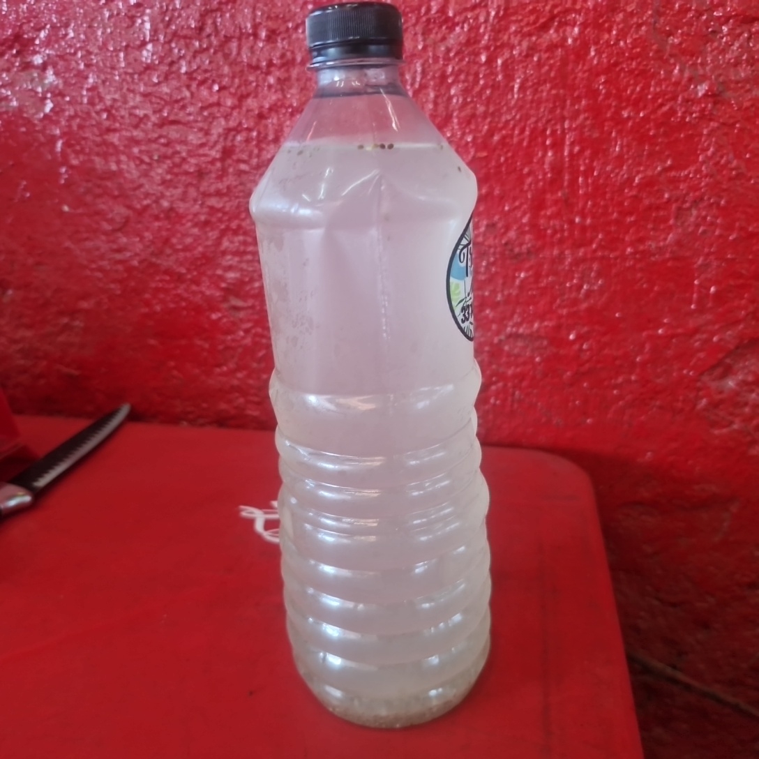 Limon Chia