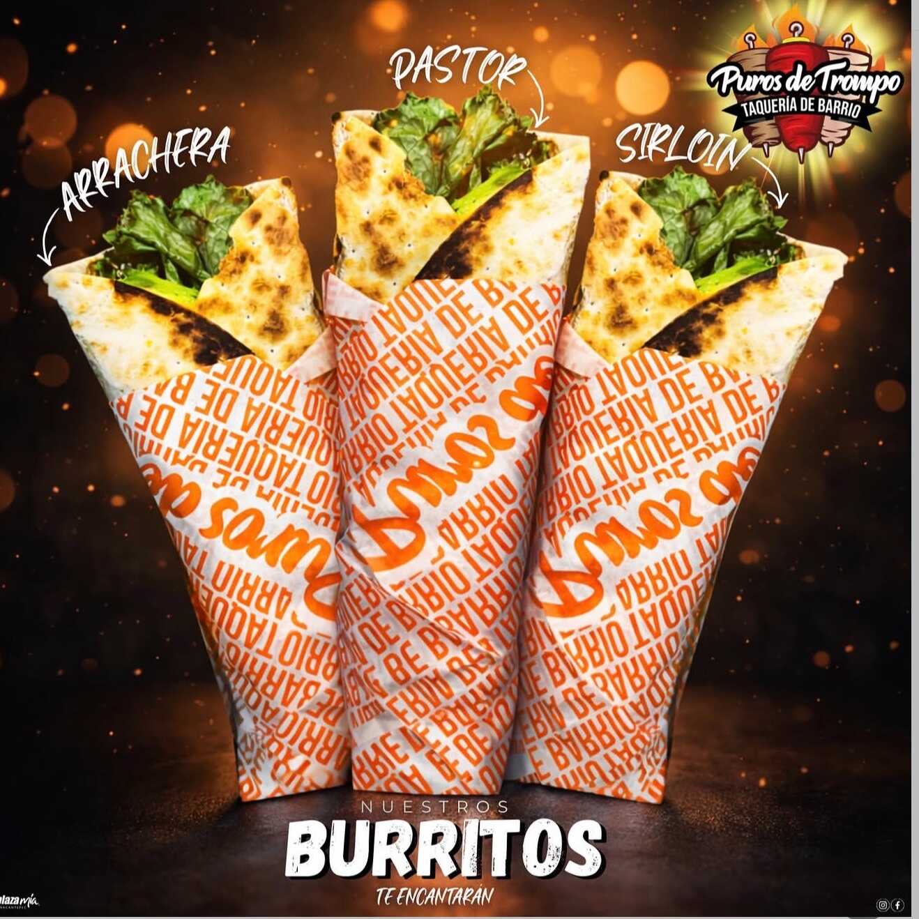 Burrito de Arrachera