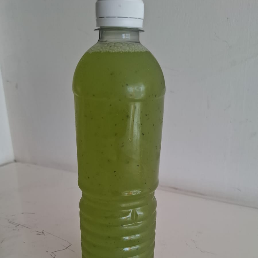 Agua de Frutas Naturales Pepino con Limon de 500 M