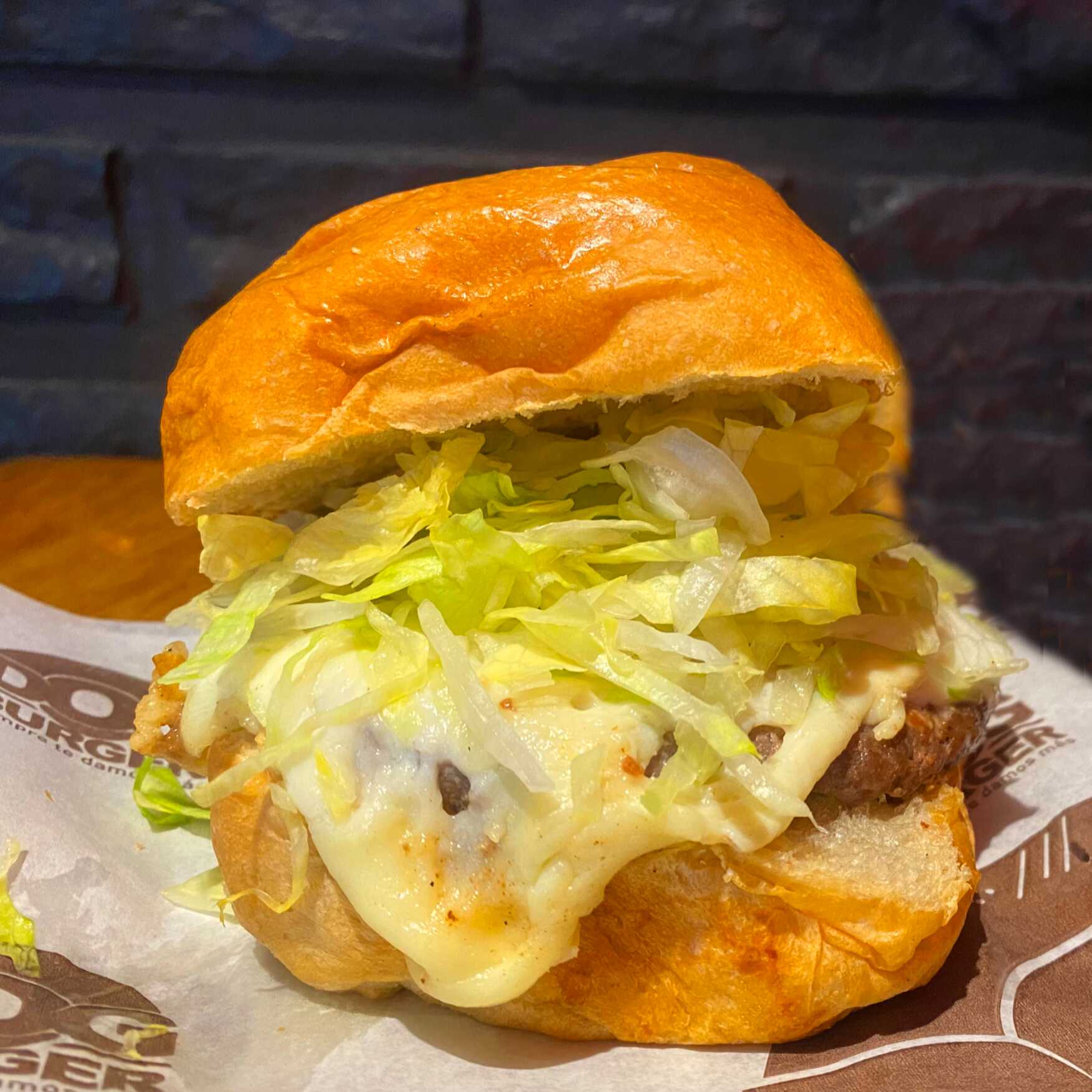 Burger Sencilla