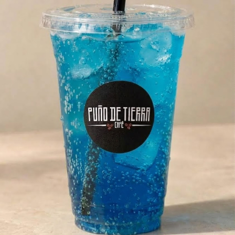 Soda Italiana Blueberry
