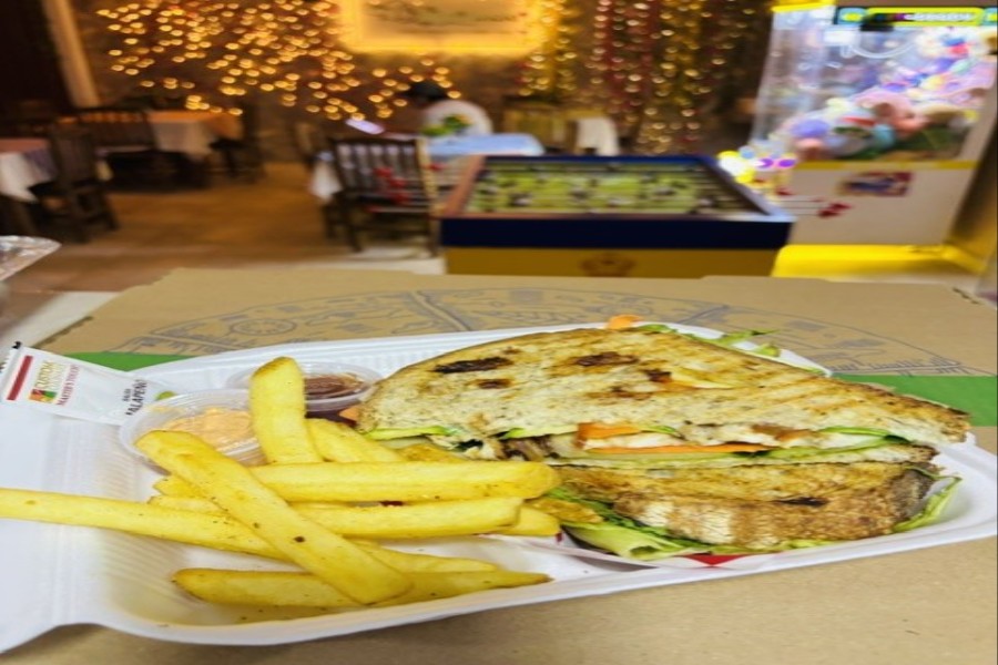 PANINI DE POLLO CON PAPAS FRITAS