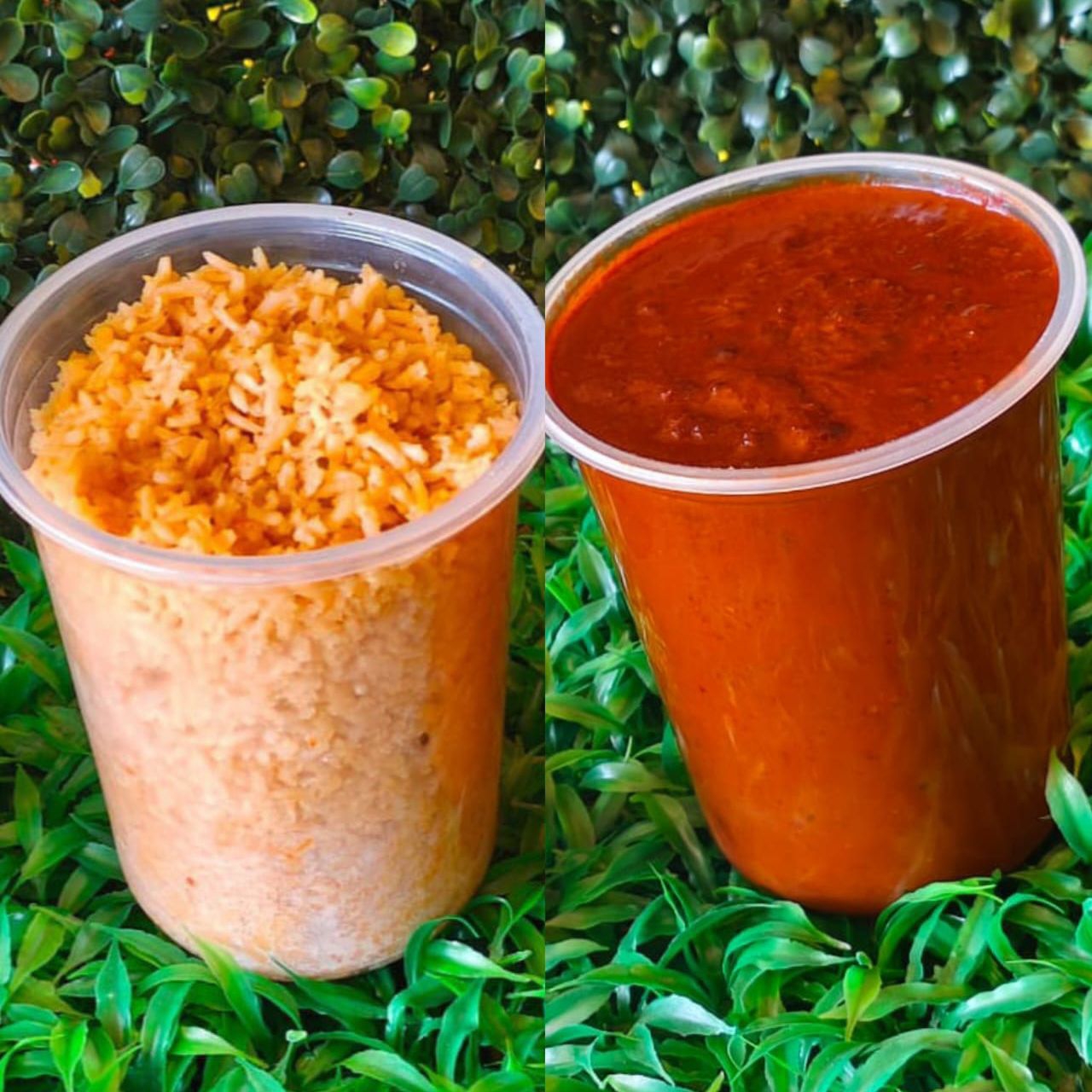 Mole y Arroz