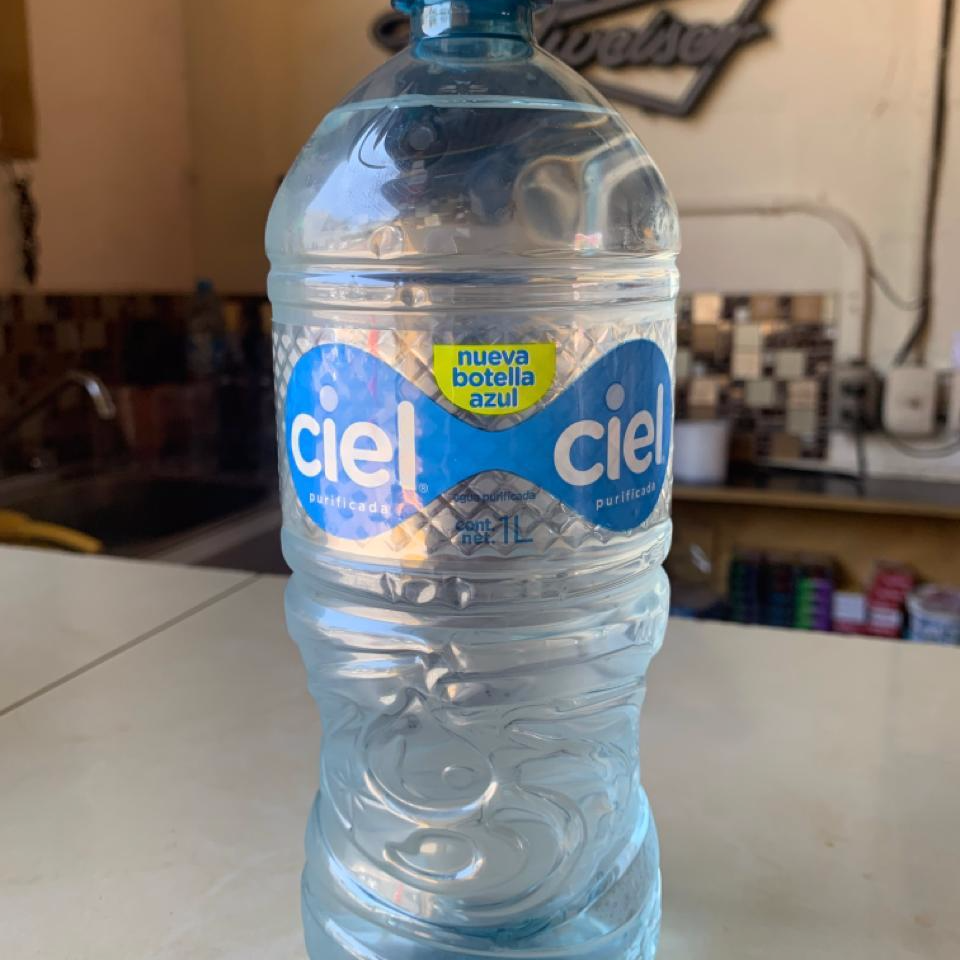 Agua Natural 1 Litro