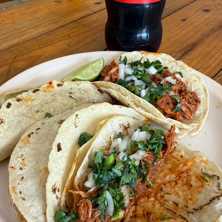Orden de Tacos de Cochito 4 Tacotes