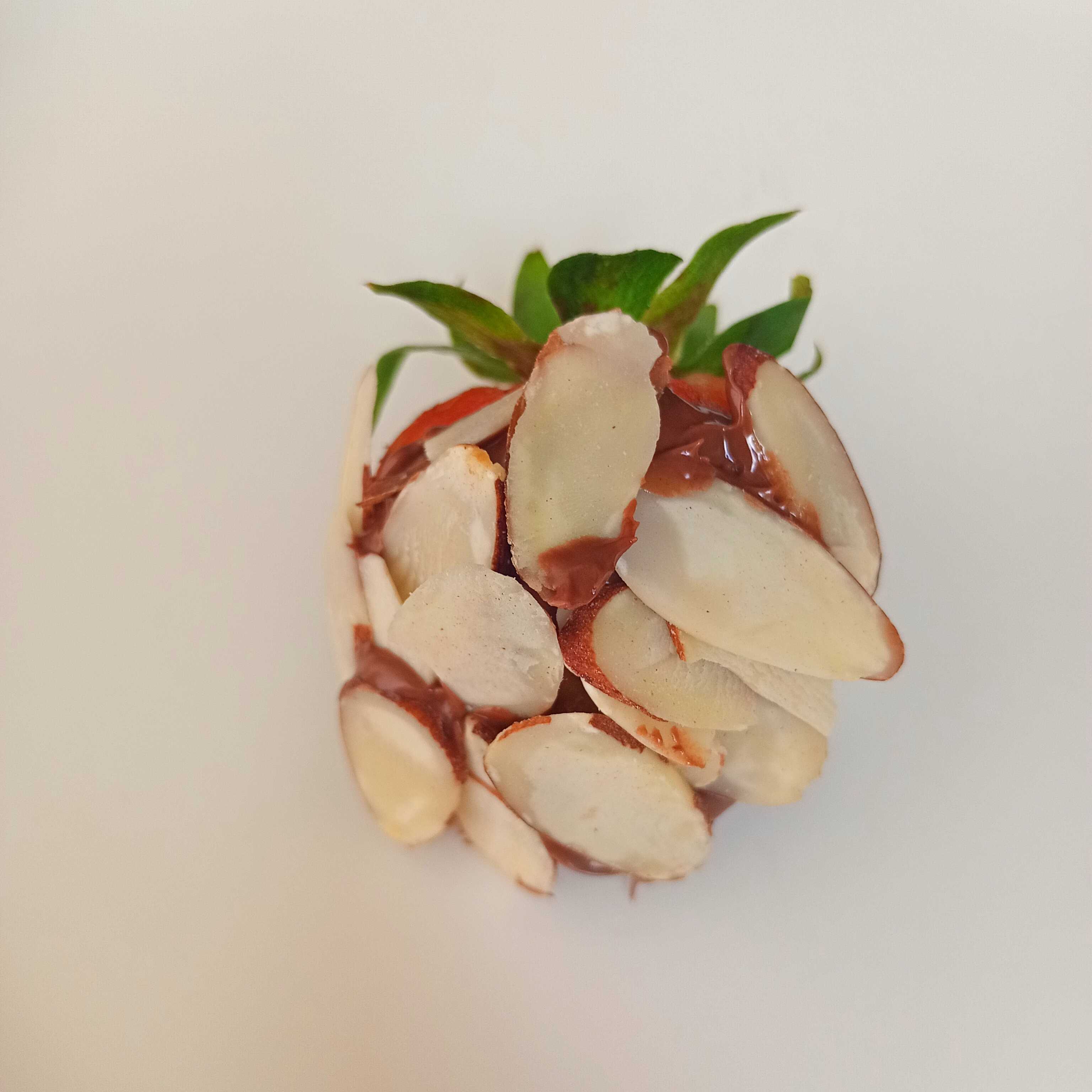 Domo de Fresas con Chocolate y Almendra