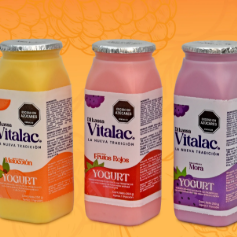 Yogurt Casero 250 g