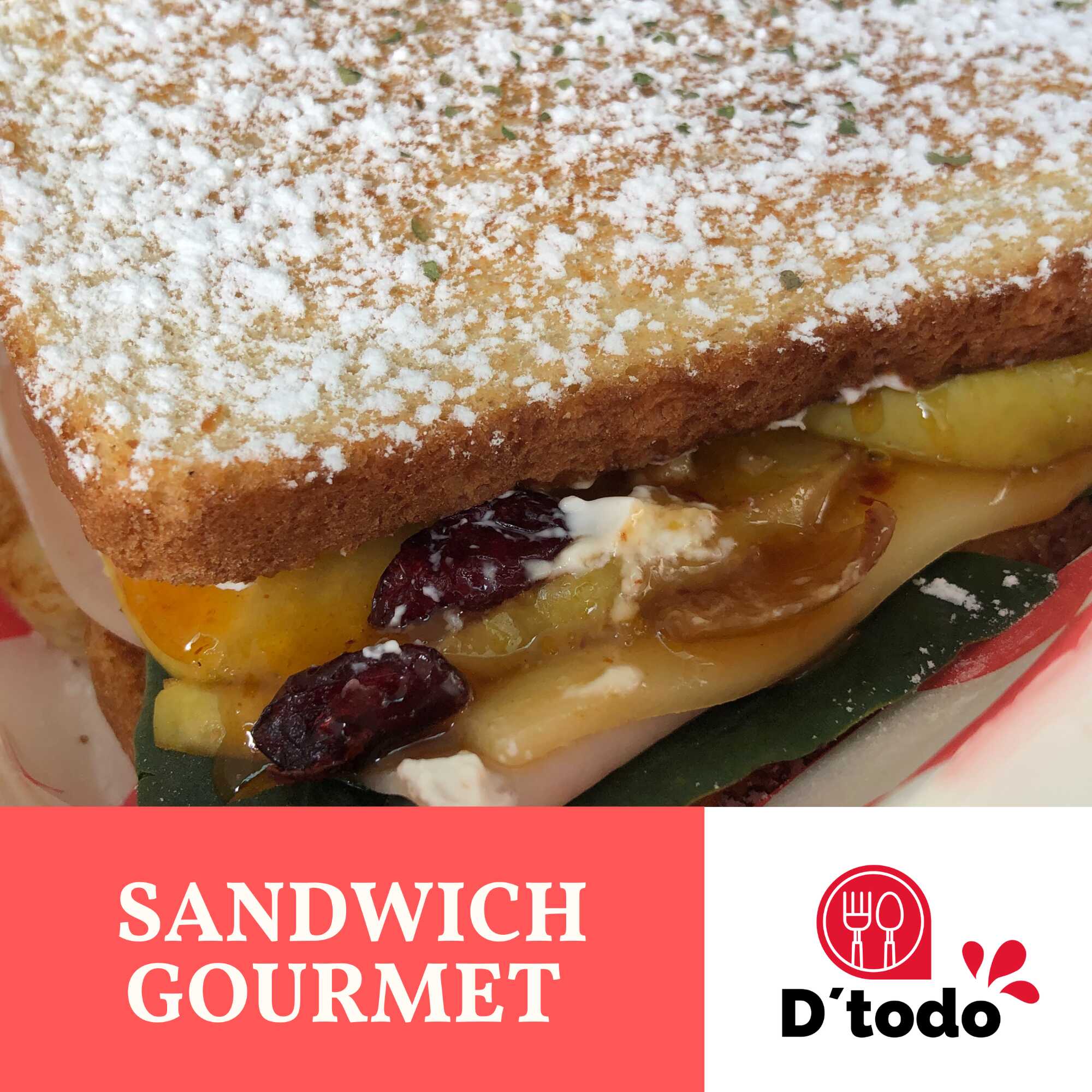 Sandwich Gourmet