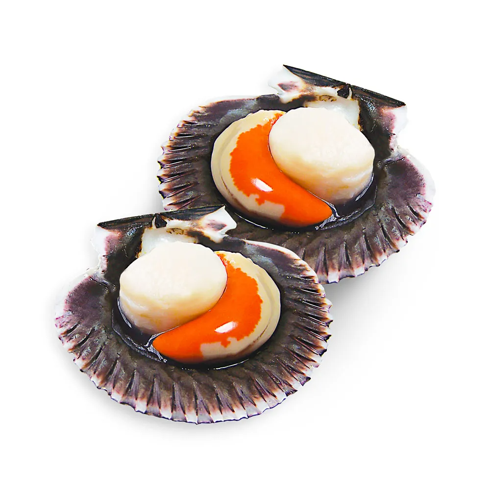 Conchas Abanico