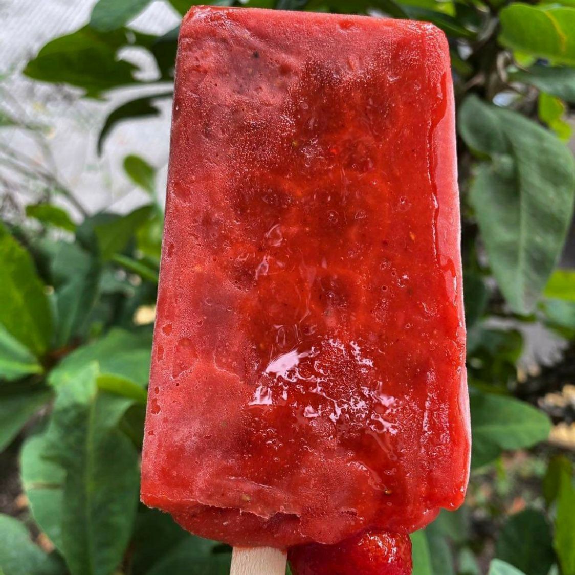 Paletas Sencillas