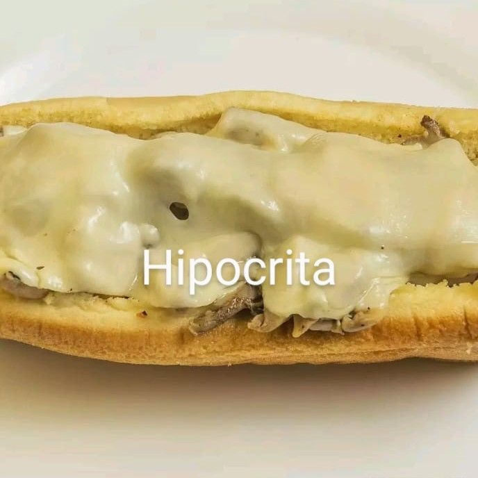 Hipocrita Dogo