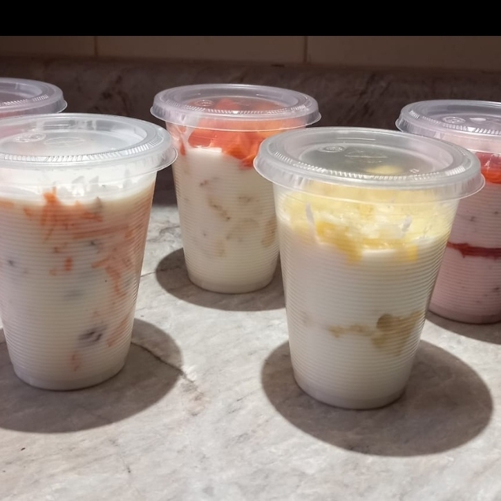 Yogurt con Granola y Fruta 250 ml