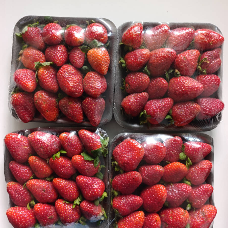 4 deliciosas caixinha de morango