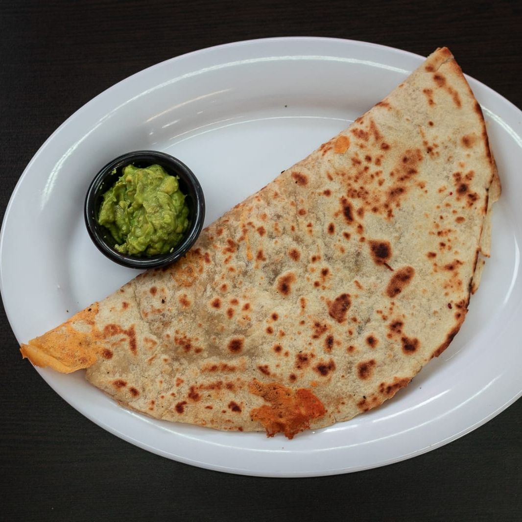 Lechuza de Cecina