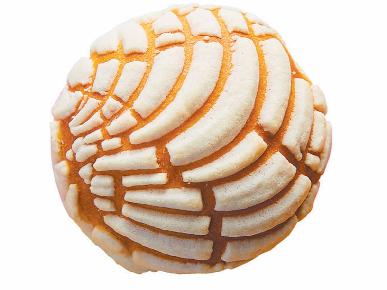 Conchas