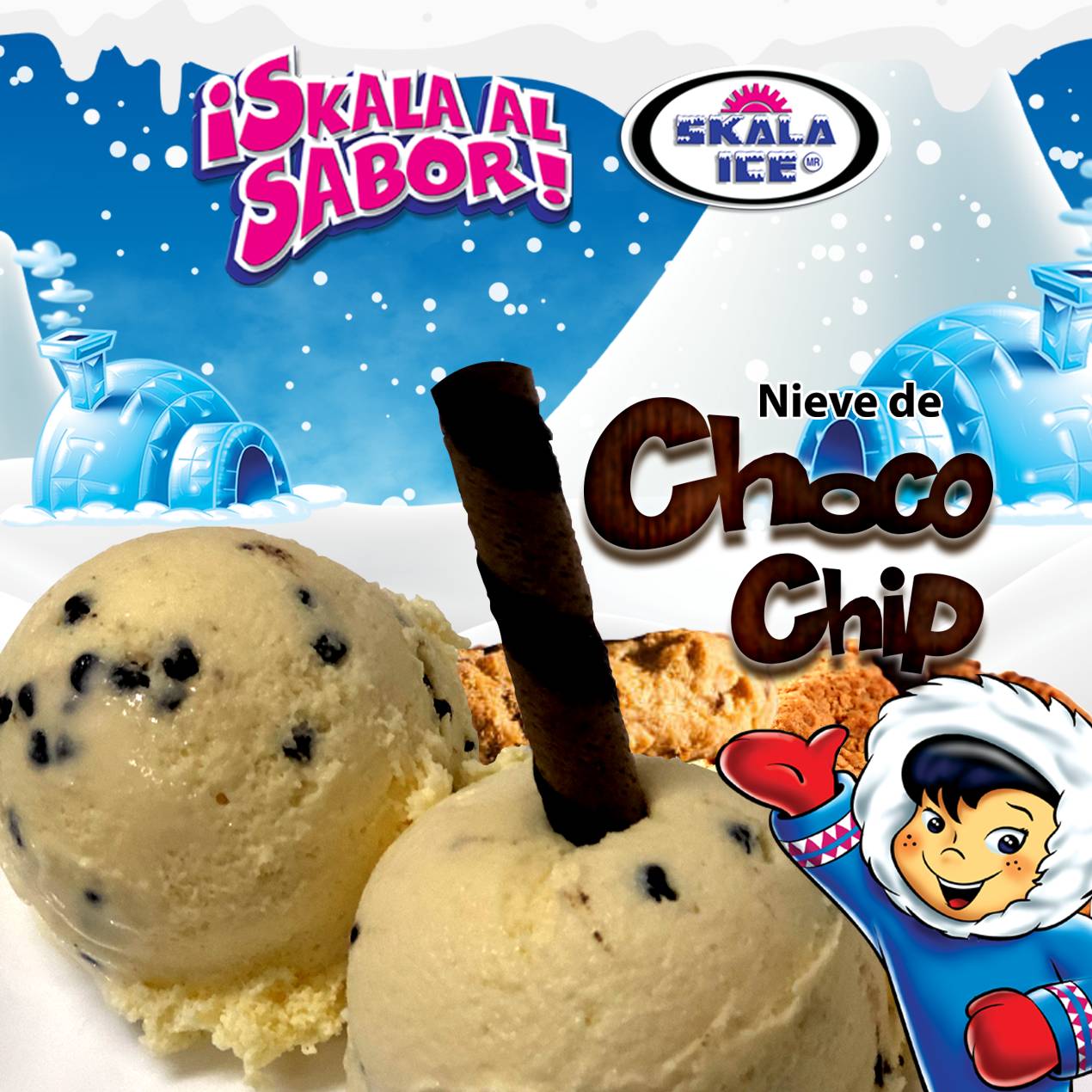 Helado de ChocoChips 1/2 Litro
