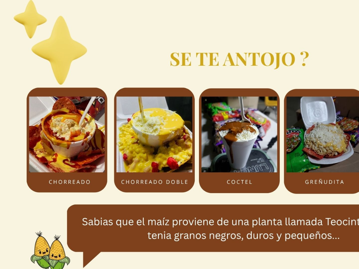 LOS GREÑUDOS ELOTES Y SNACKS
