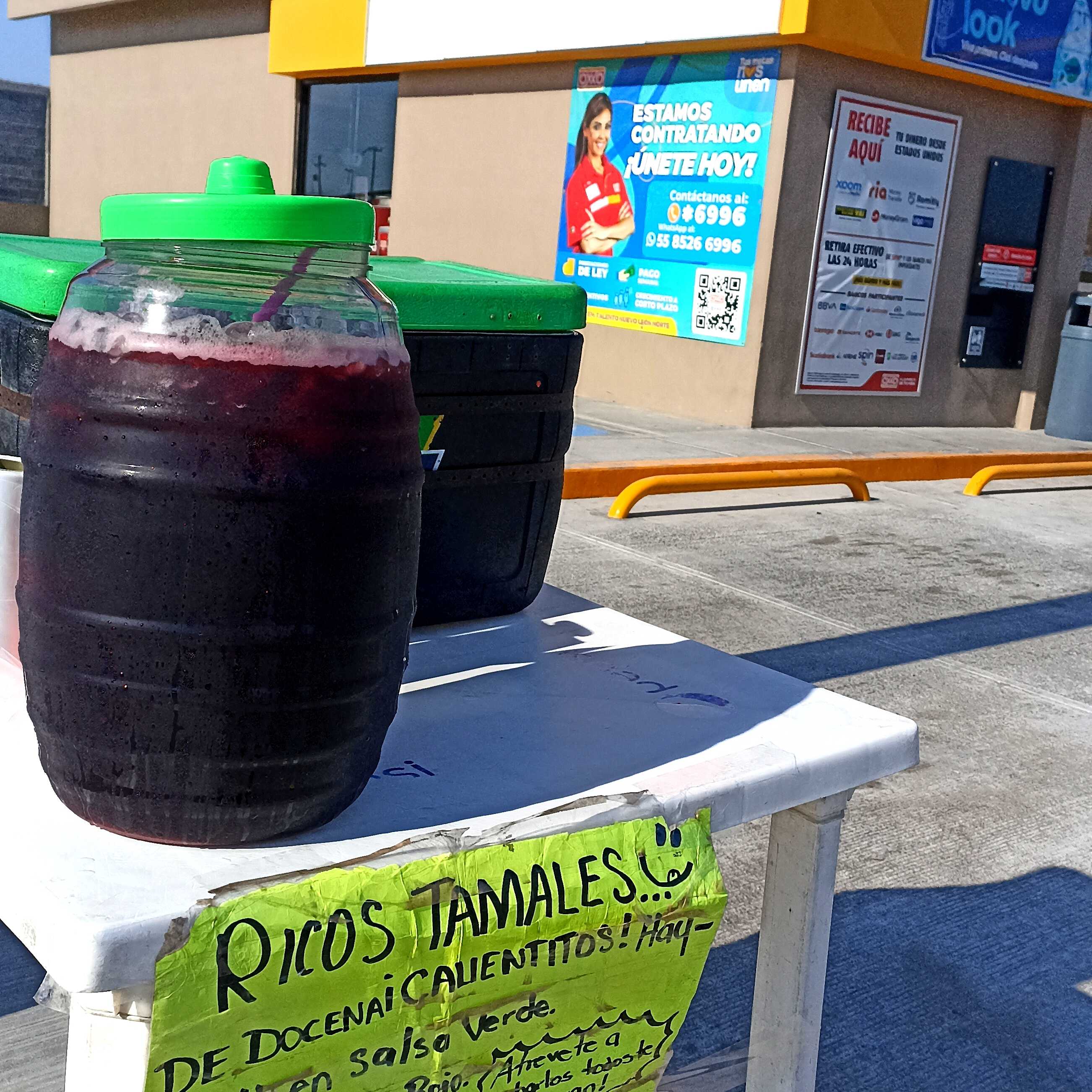 COMBO RICOS TAMALES DOCENA MIX Y AGUA FRESCA 1L