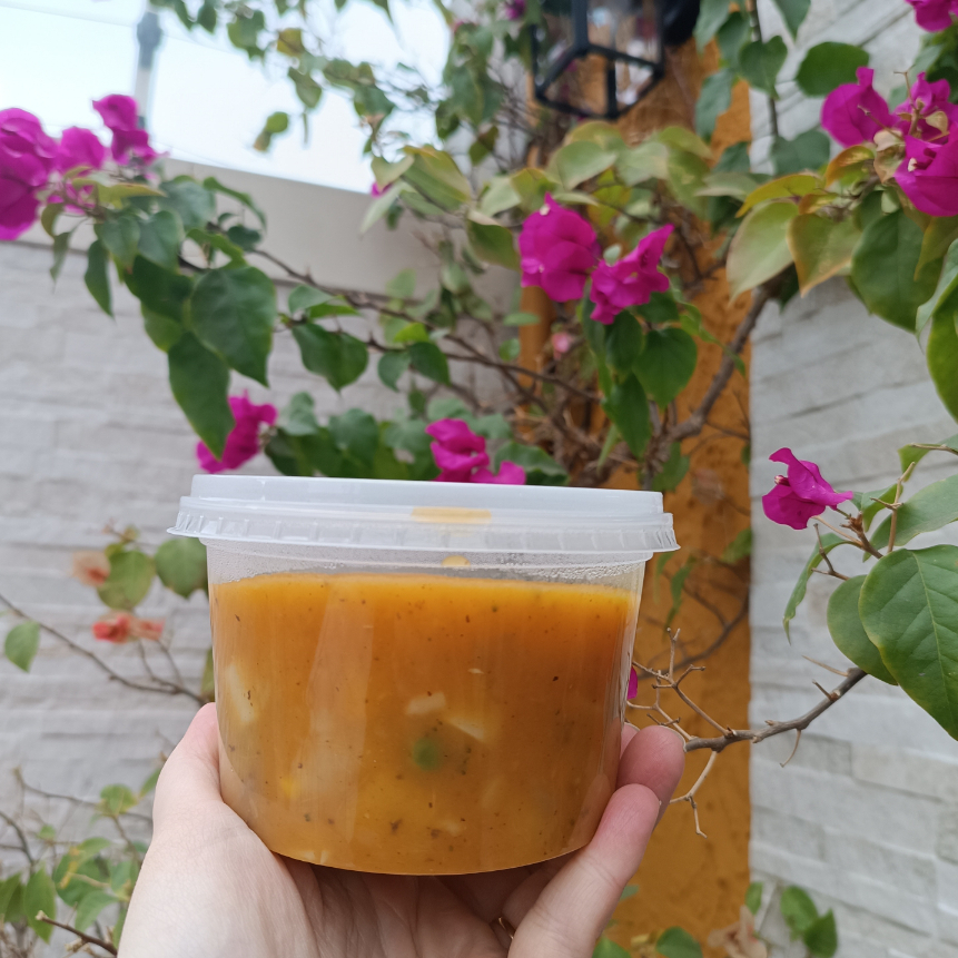 Deliciosa sopa caseira, feita com carne, macarrão e legumes 450g.