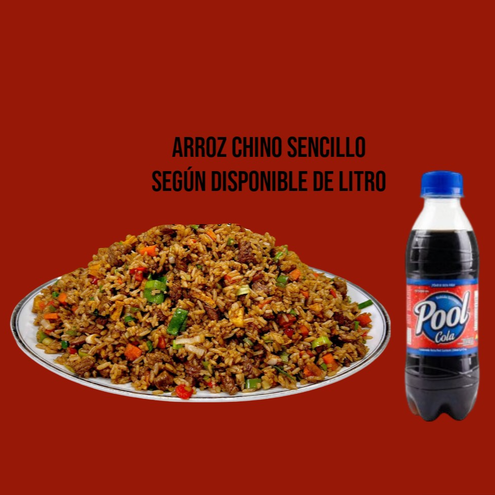 Arroz Chino Sencillo 1 Kg Mas Econolitro