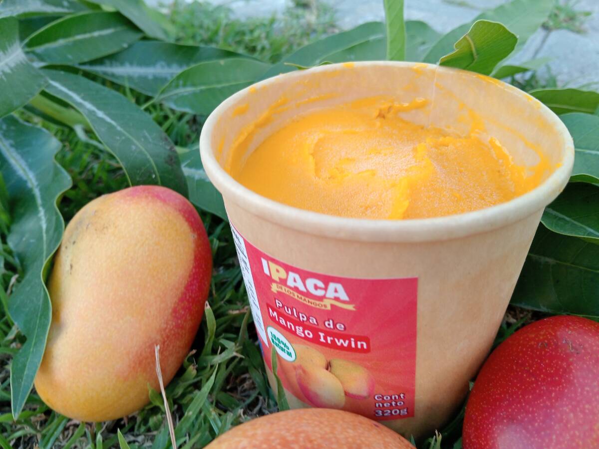 IPACA De Los Mangos
