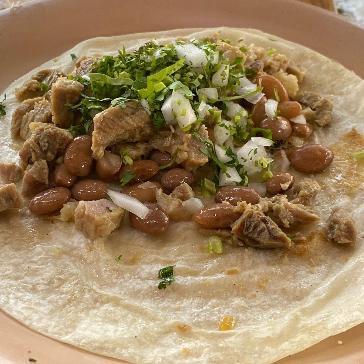 Quesadilla de Bistec
