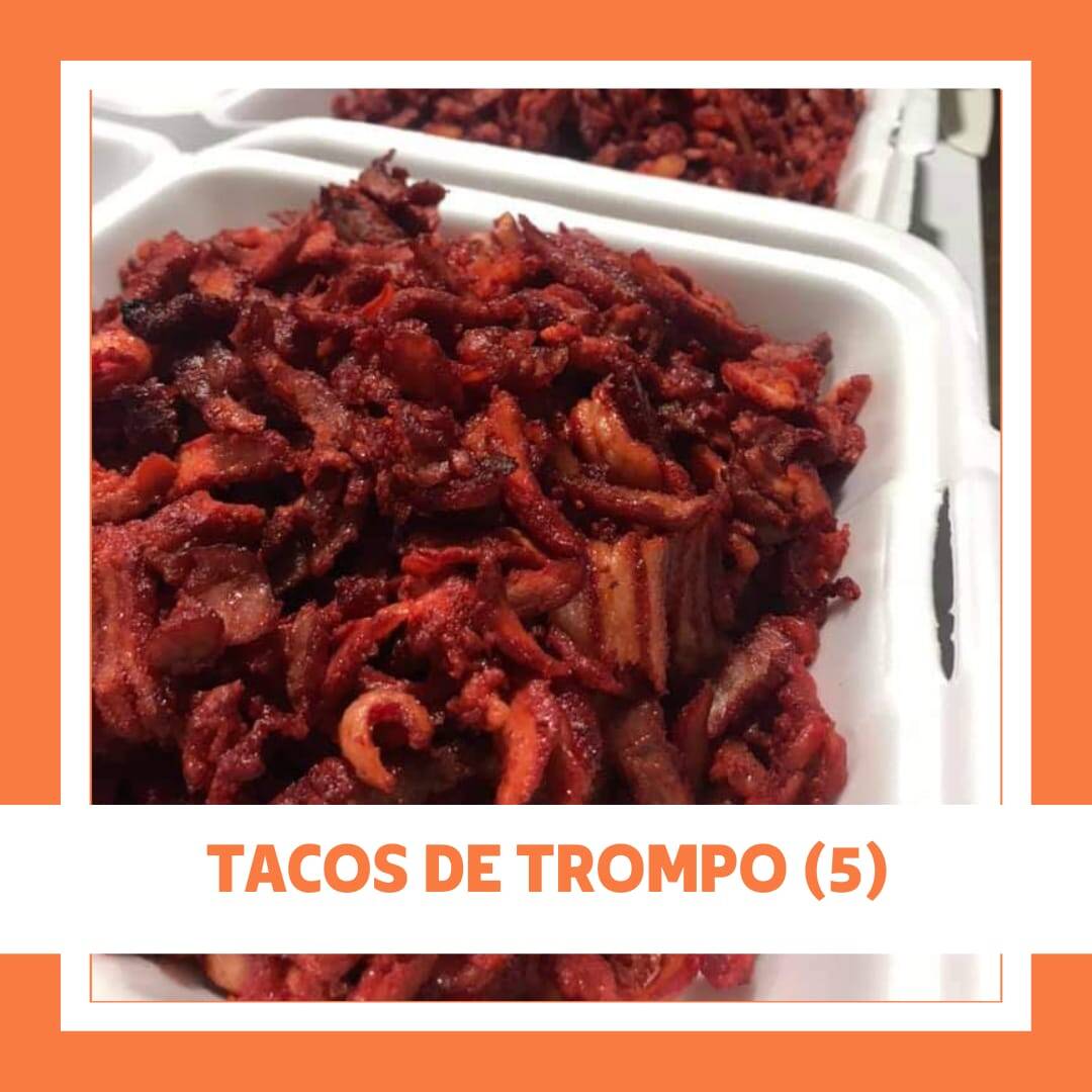 Tacos de Trompo
