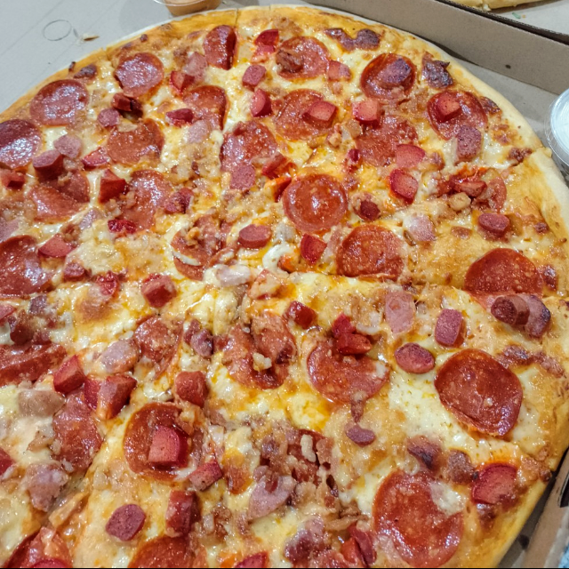 Carnivora