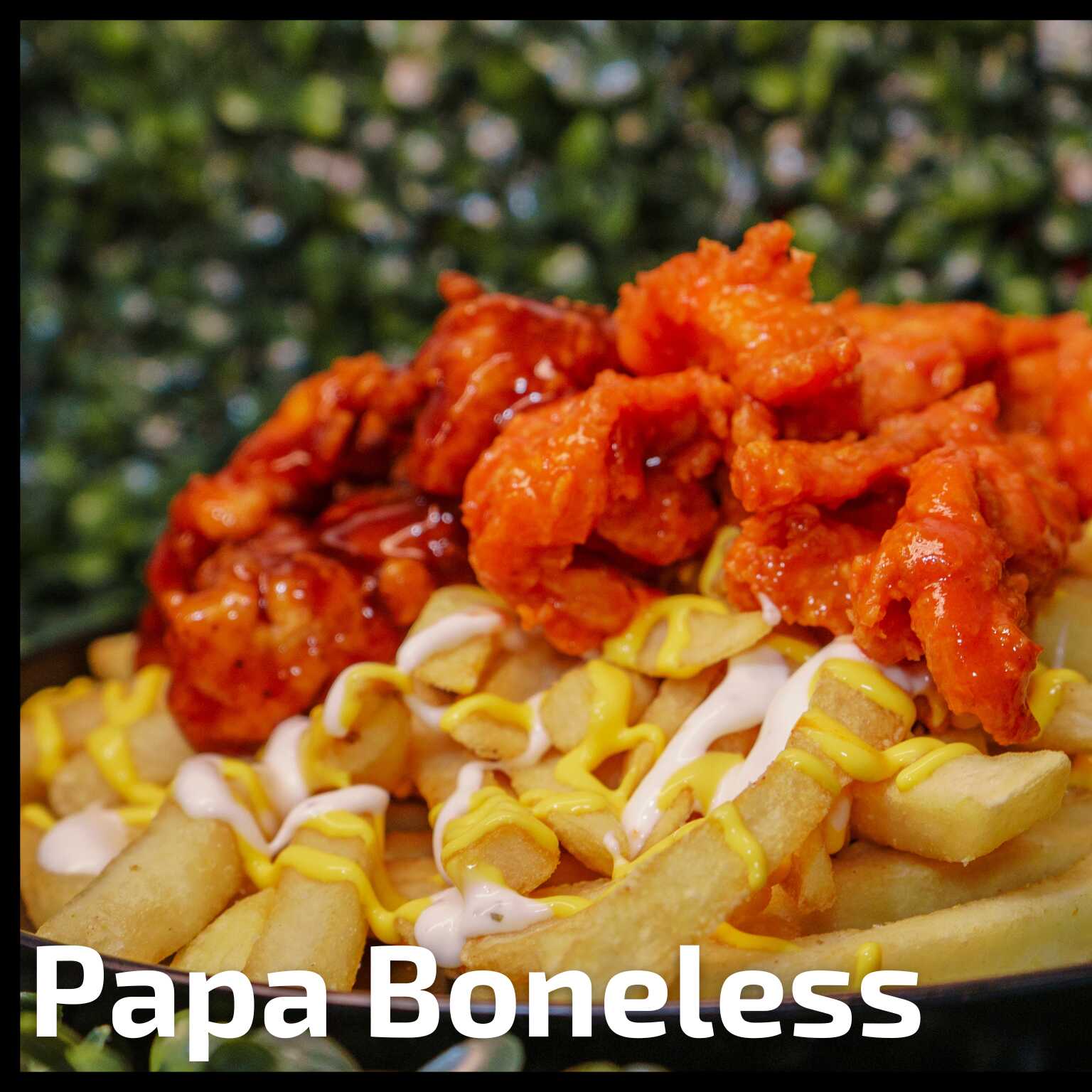 PAPABONELESS
