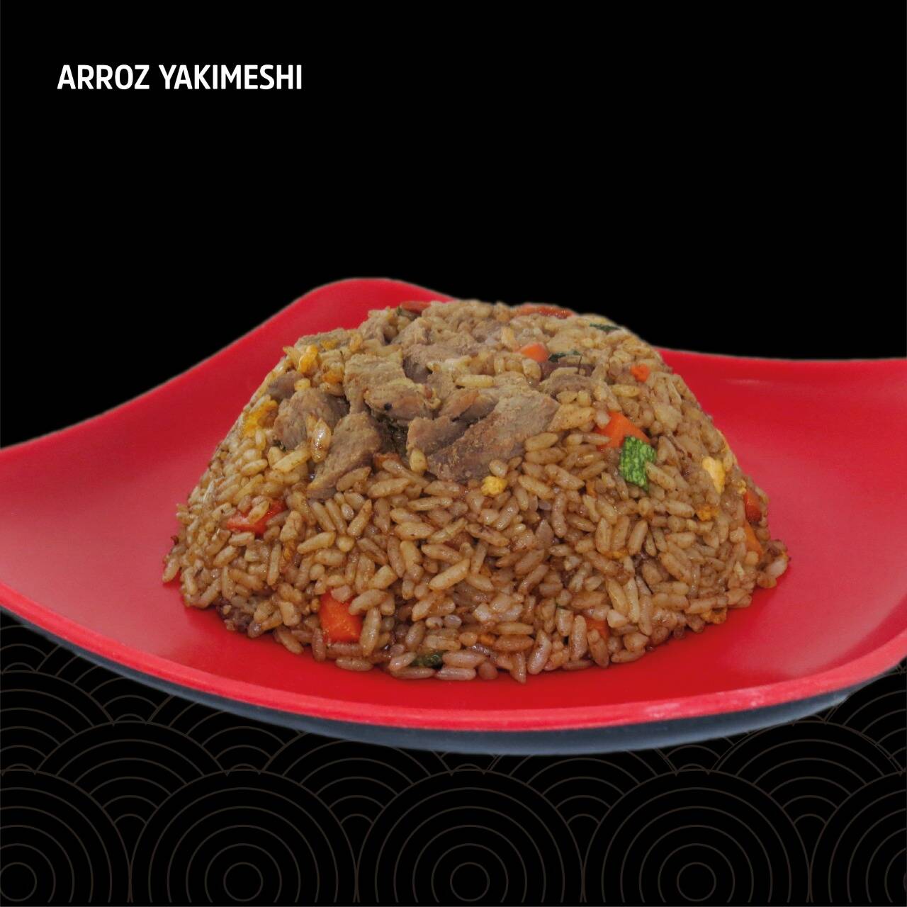 Yakimeshi Mixto