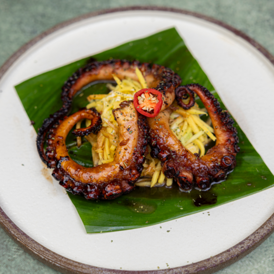 Pulpo Caramelizado