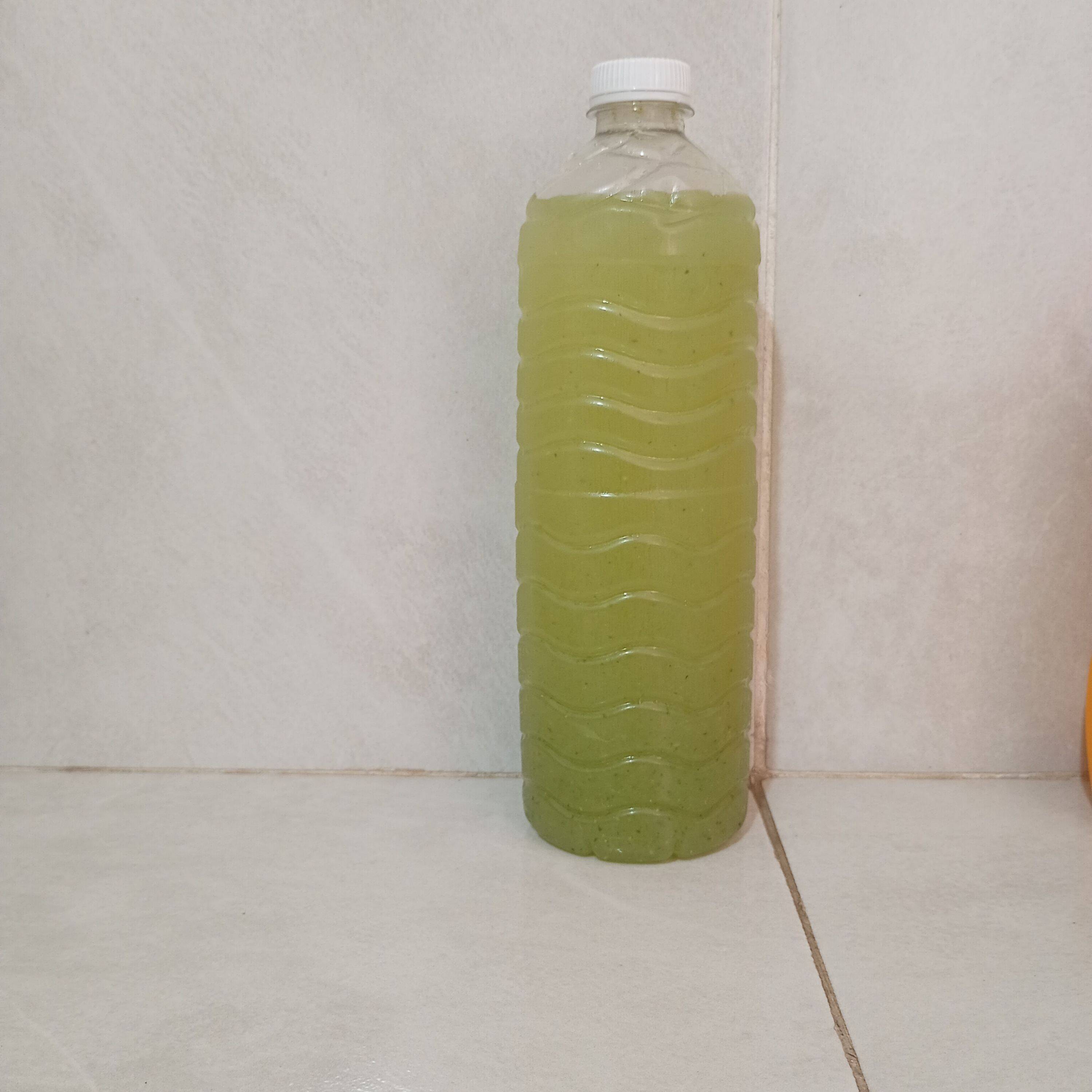 Agua de Pepino