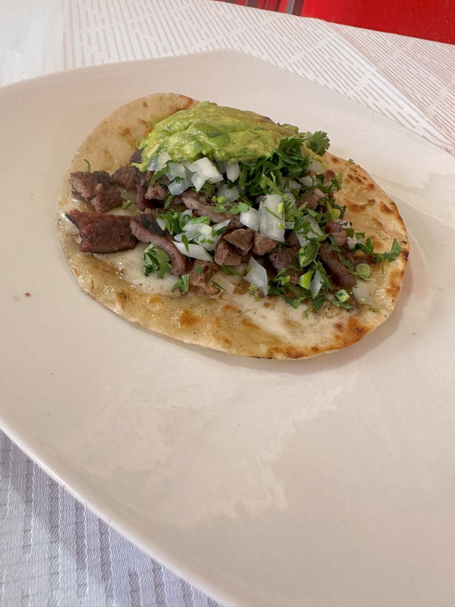 QUESATACO CARNE ASADA TORTILLA HARINA