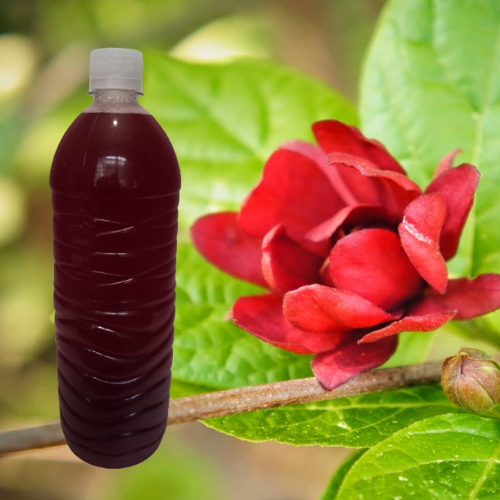 Agua de jamaica