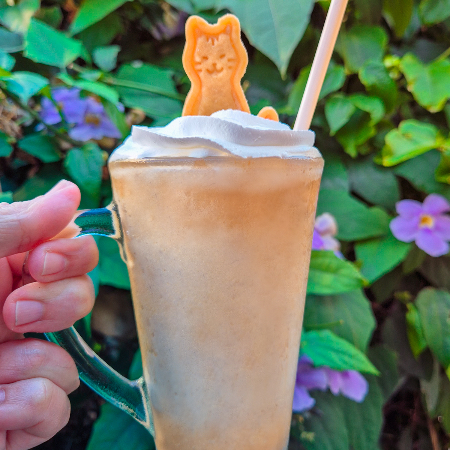 Frapurrrchino