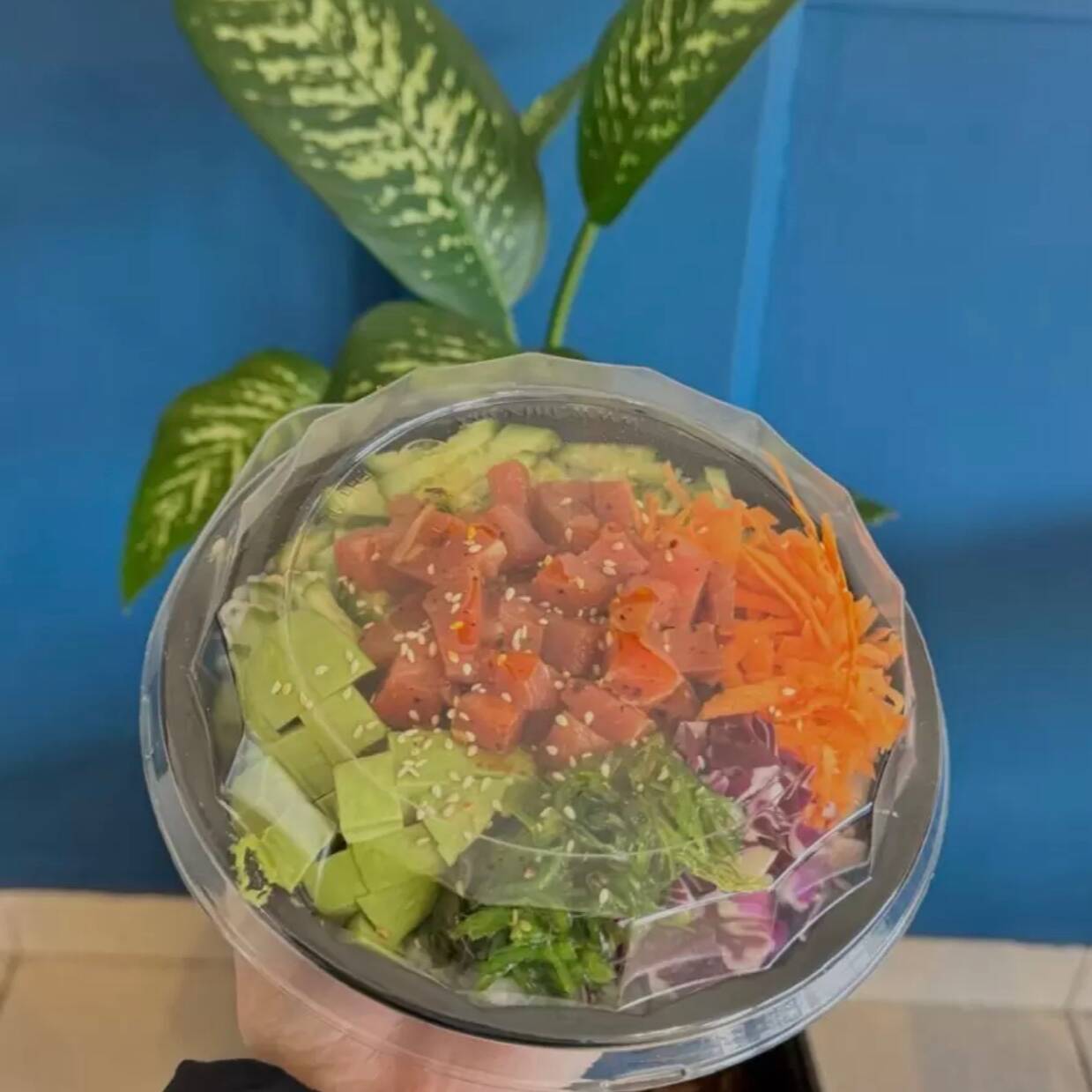 Poke Tradicional