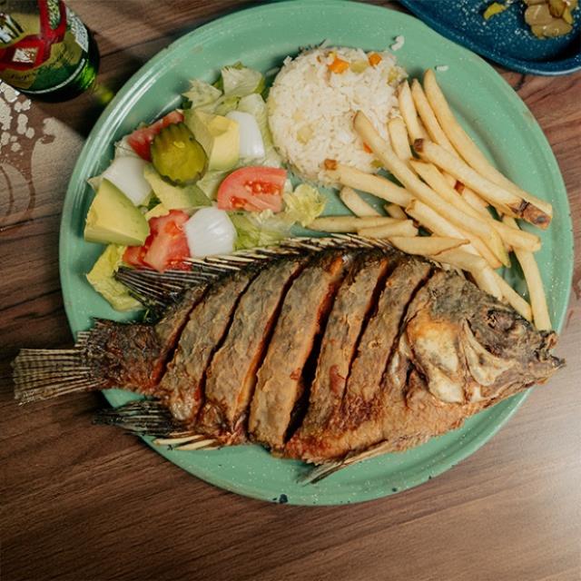 MOJARRA FRITAA