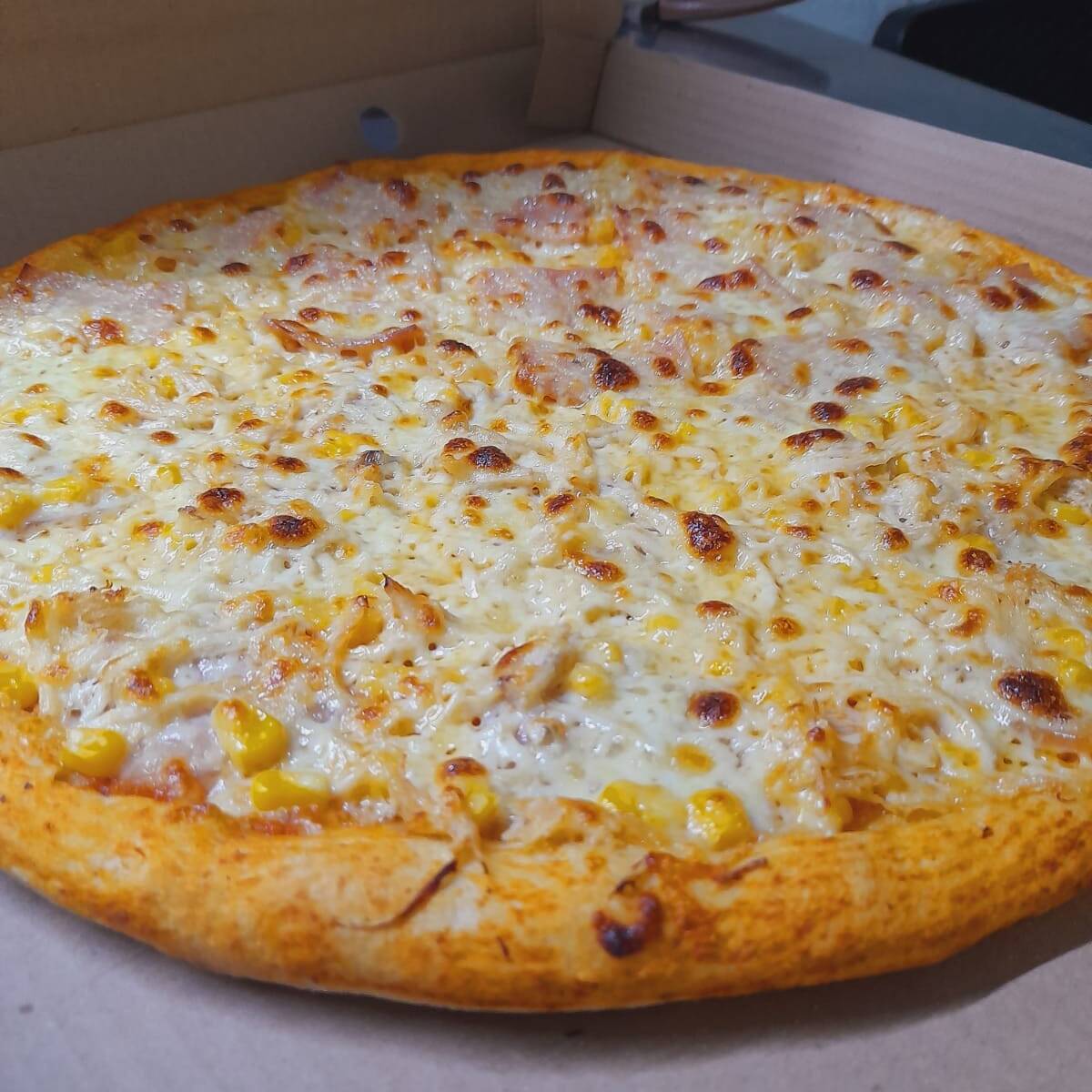 2 pizzas de 6 porciones + gaseosa