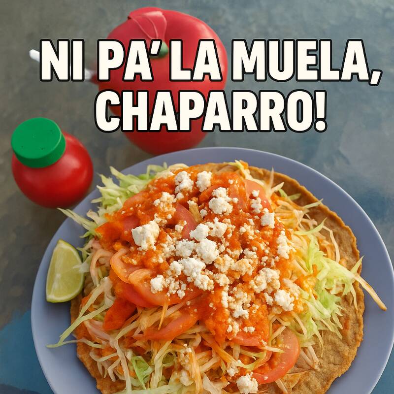 Tostada Jumbo de Pierna