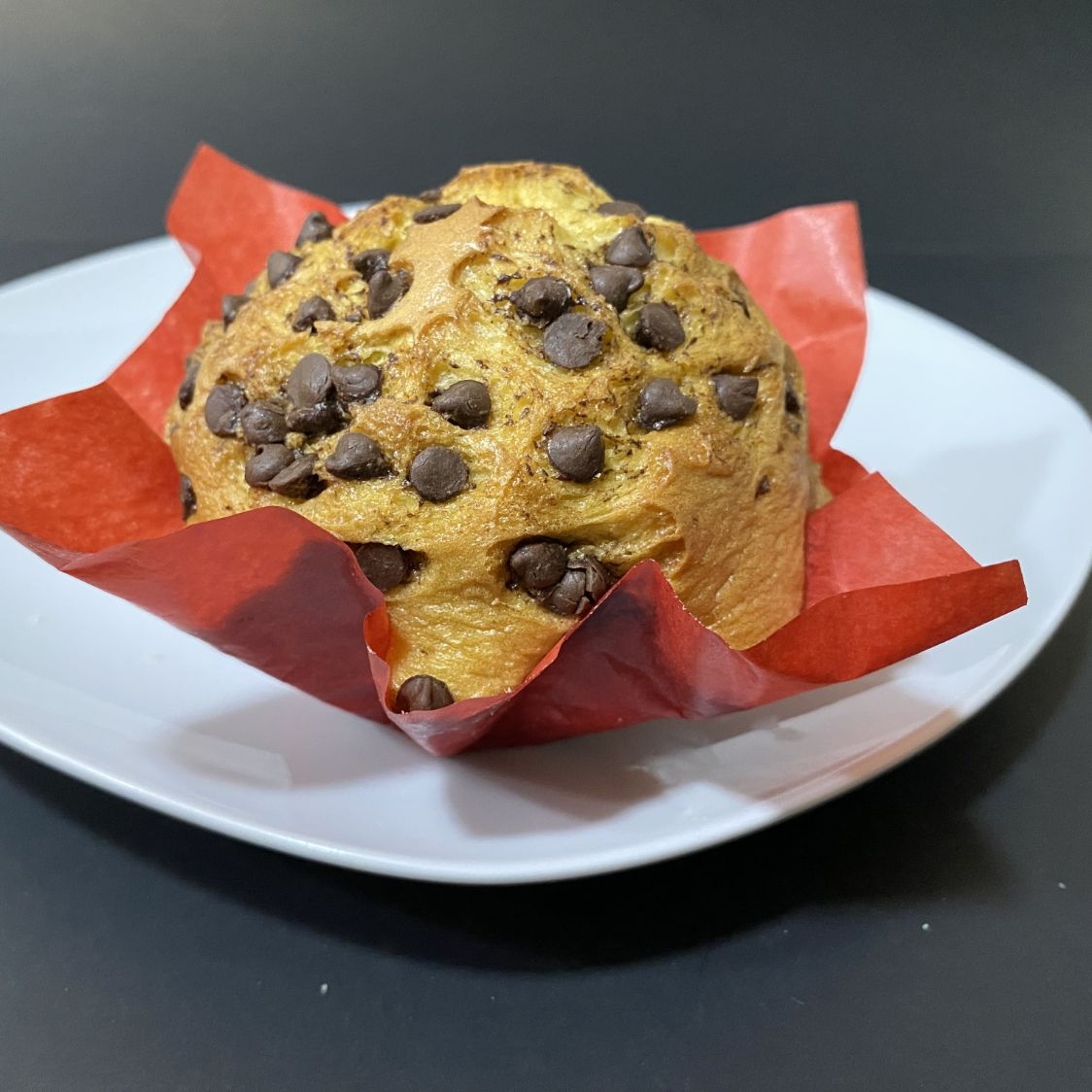 Chino Chispa de Chocolate