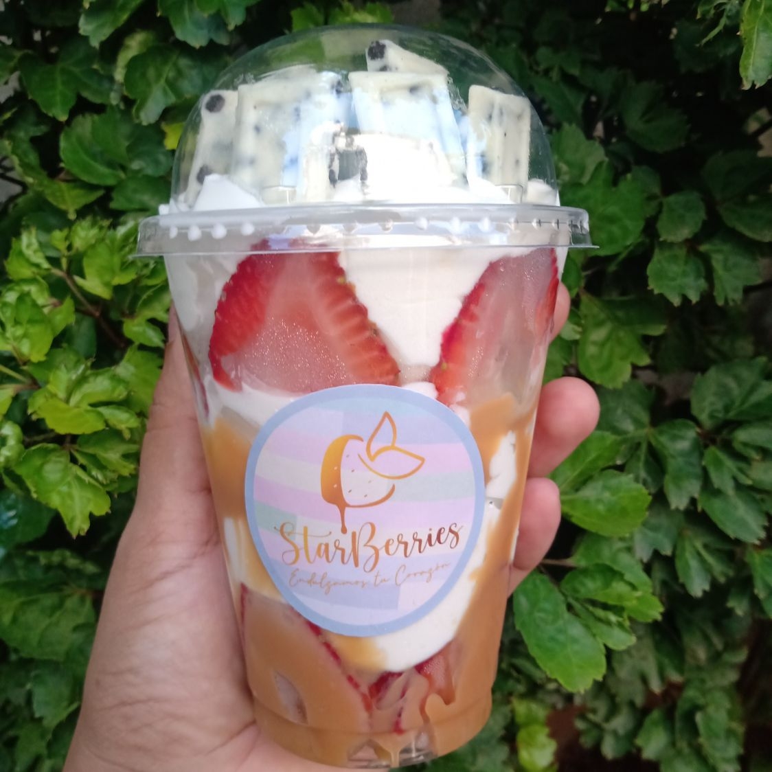 Fresas con Crema Jet Cookies 14 oz