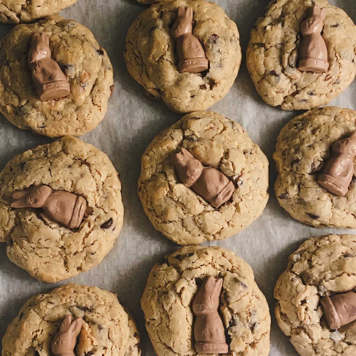 Galleta Turín