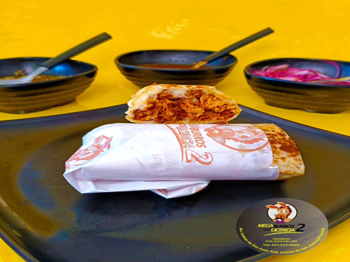 Mega Burros Los Licencia2 Sjr