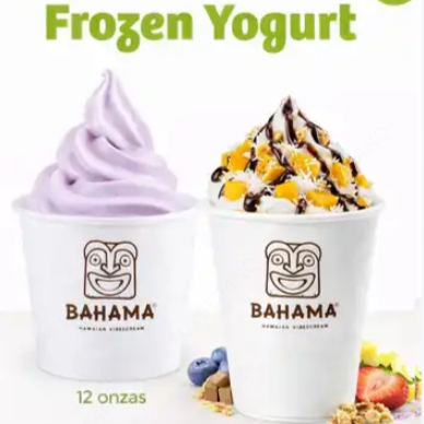 Frozen Yogurt 12 oz