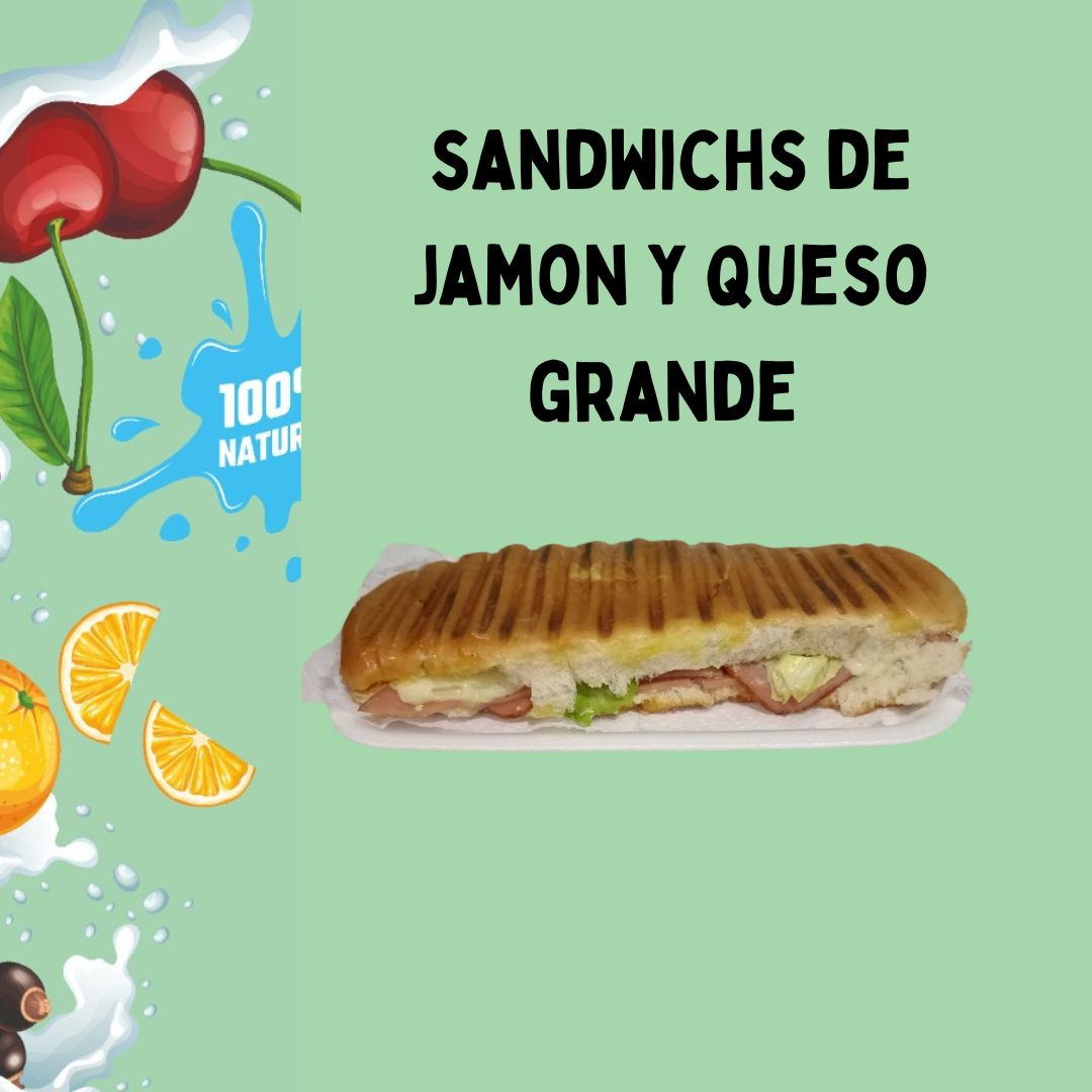 Sandwich Jamon y Queso 15cm