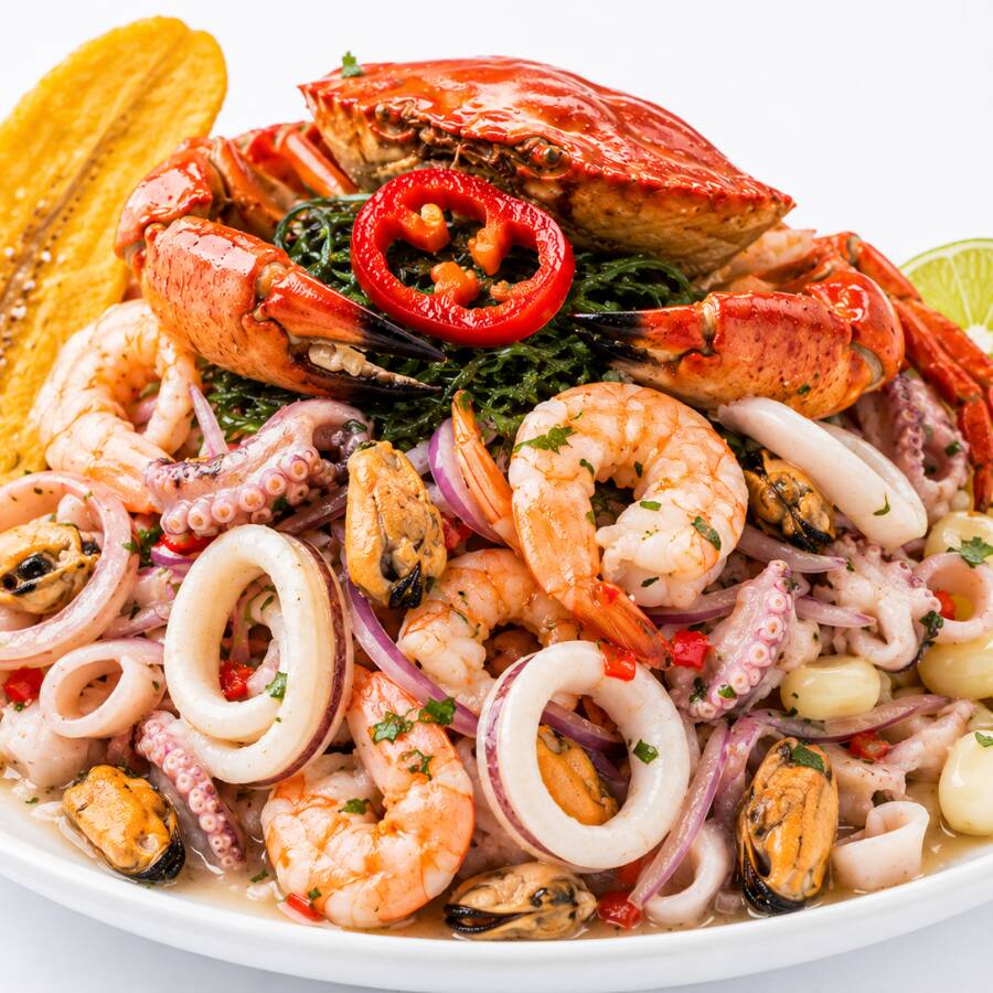 Ceviche de Mariscos