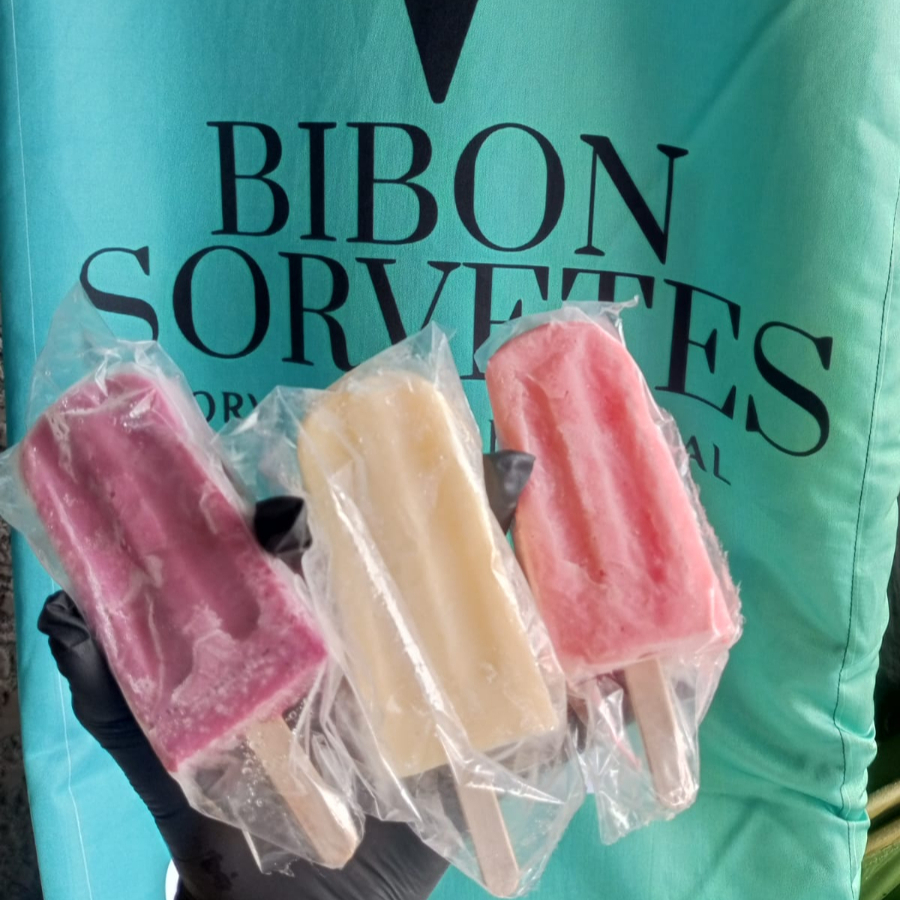 Deliciosa Paleta Mexicana Artsanal combo de 4 unidades Maracujá com Leite Condensado, Uva com Leite Condensado e Morango com Leite Condensado! (sabores conforme disponível no estoque!) "Imagem meramente ilustrativa"