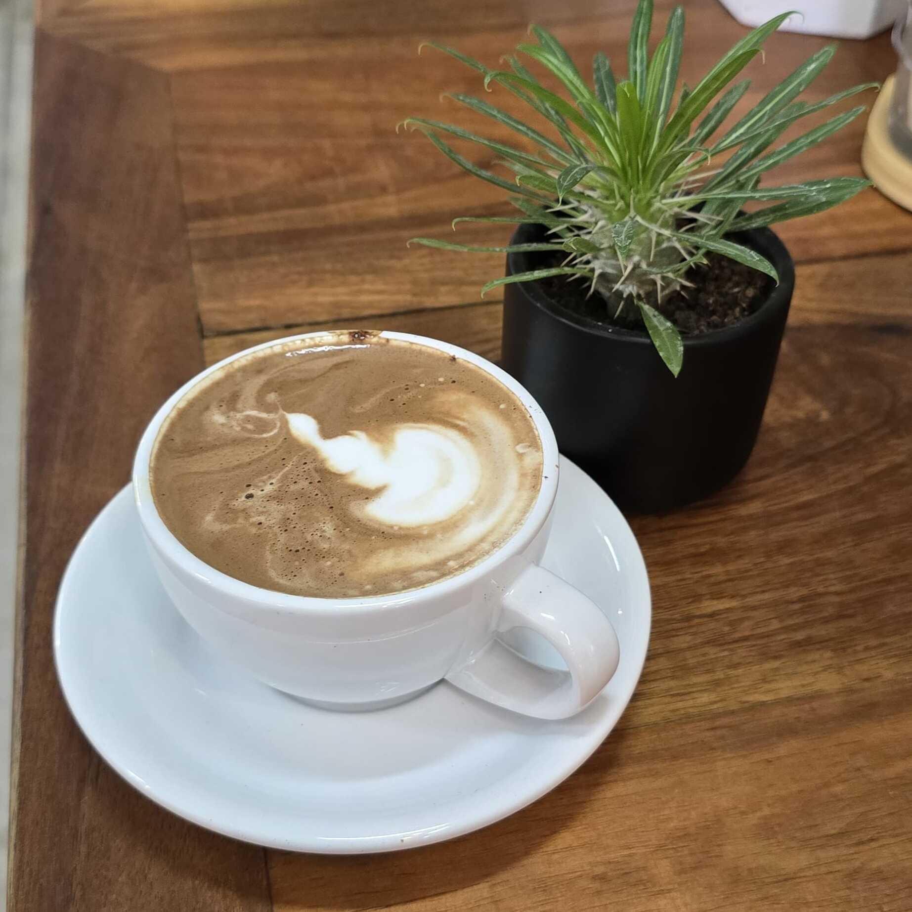 moccachino